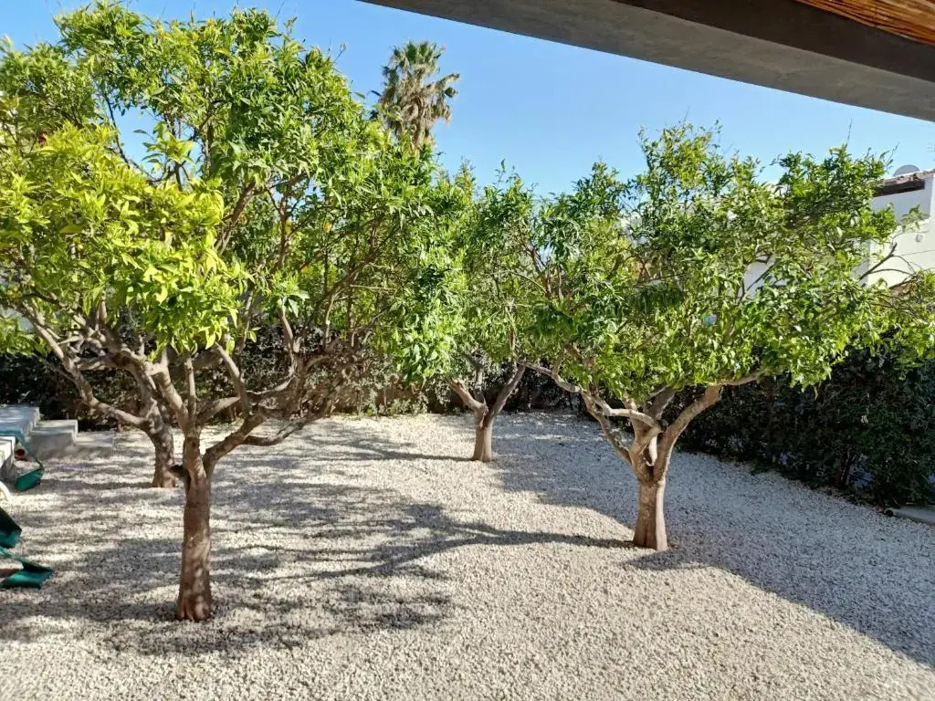 Villa Zoe