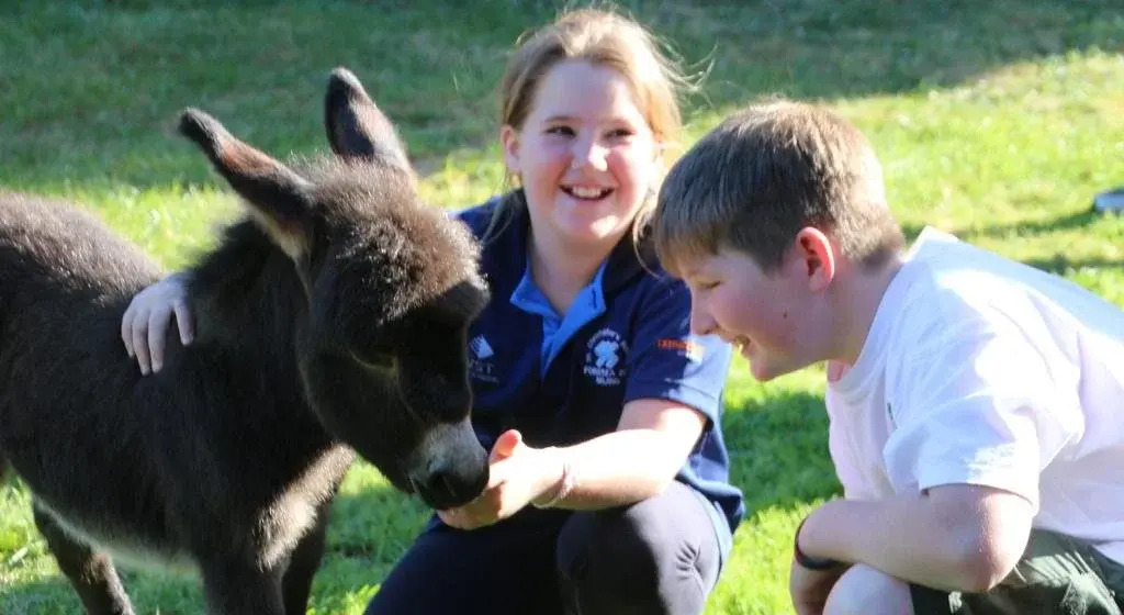 Donkey Tales Farm Cottages