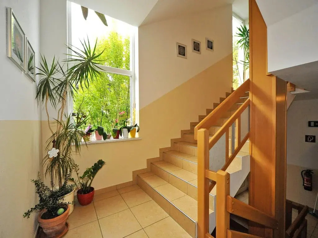 Anita Apartments