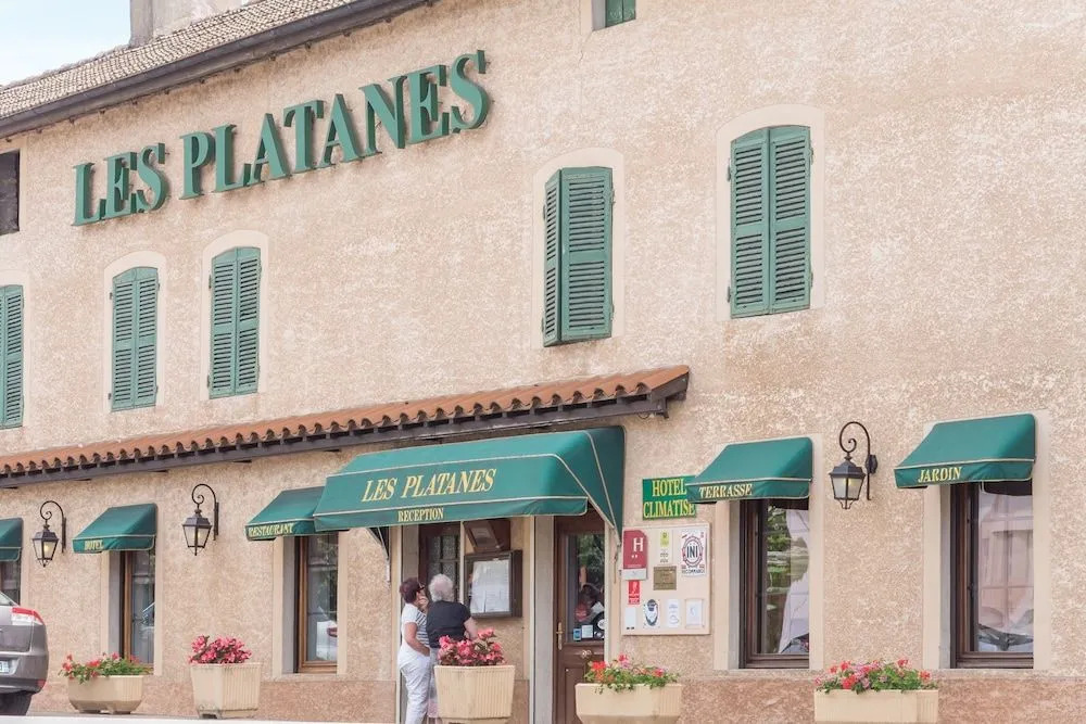 Logis Hôtel Les Platanes
