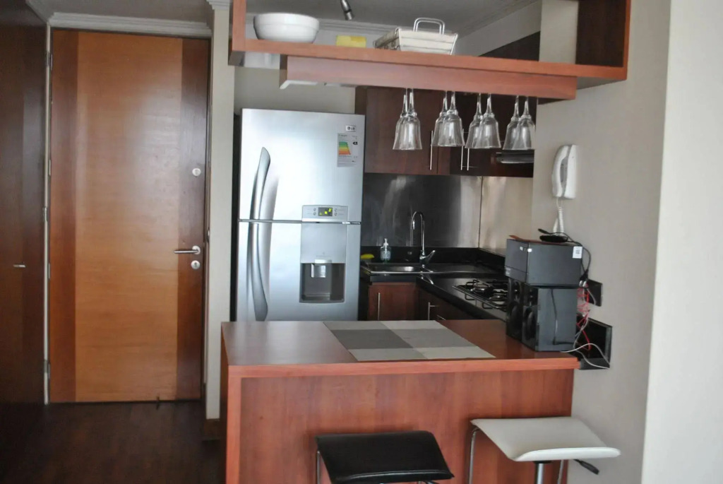 Roypace Apartamentos Manuel Montt
