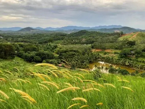 Orchard Wellness Safari Suites