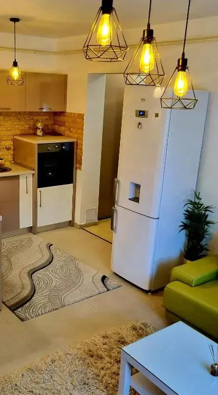 Charm 2 Palas Apartment