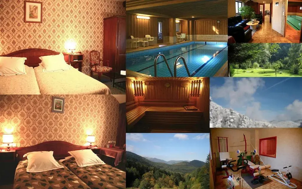 Hotel-Spa & Restaurant Logis Domaine Langmatt