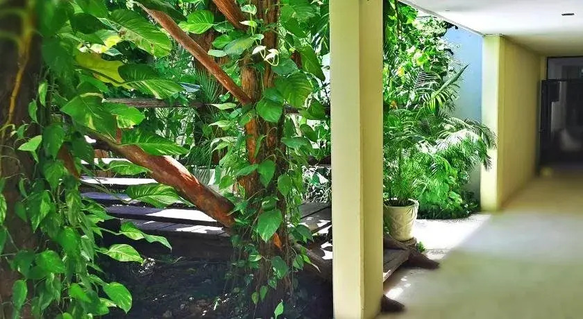 Hostel Meson de Tulum