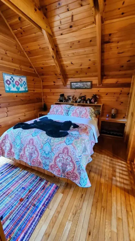Blue Ridge Parkway Cabin Rentals