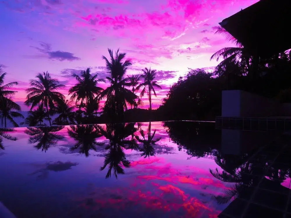 The Plantation Koh Tao