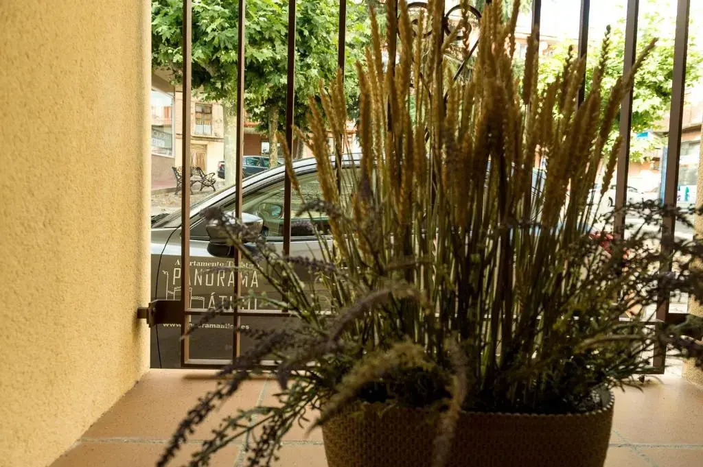 Panorama Suite