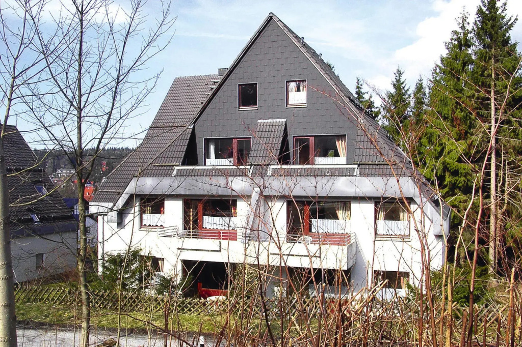 Nice Apartment in Hahnenklee
