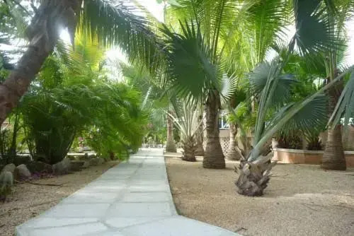 Villa Tropica