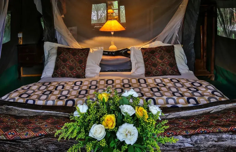Aruba Mara Camp & Safaris