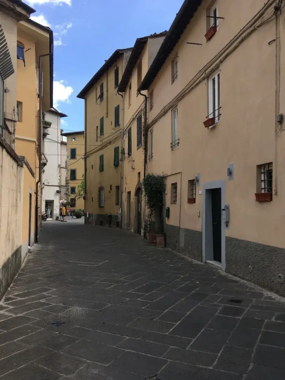 Dreaming Lucca Leonardo
