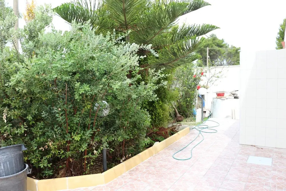 B&B Vistadamare