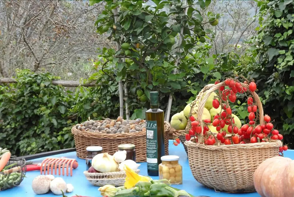 Margherita Holiday Home