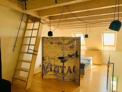 Apartmán U Venuše