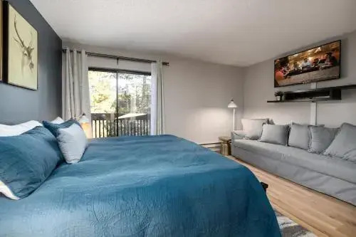 Winterpoint 41