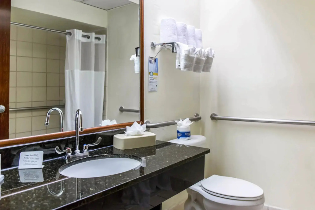 Comfort Suites Tampa - Brandon