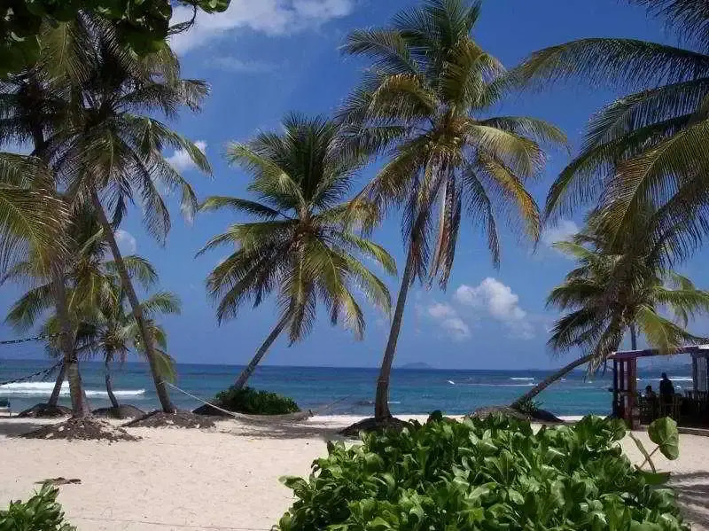 Hibiscus Beach Resort