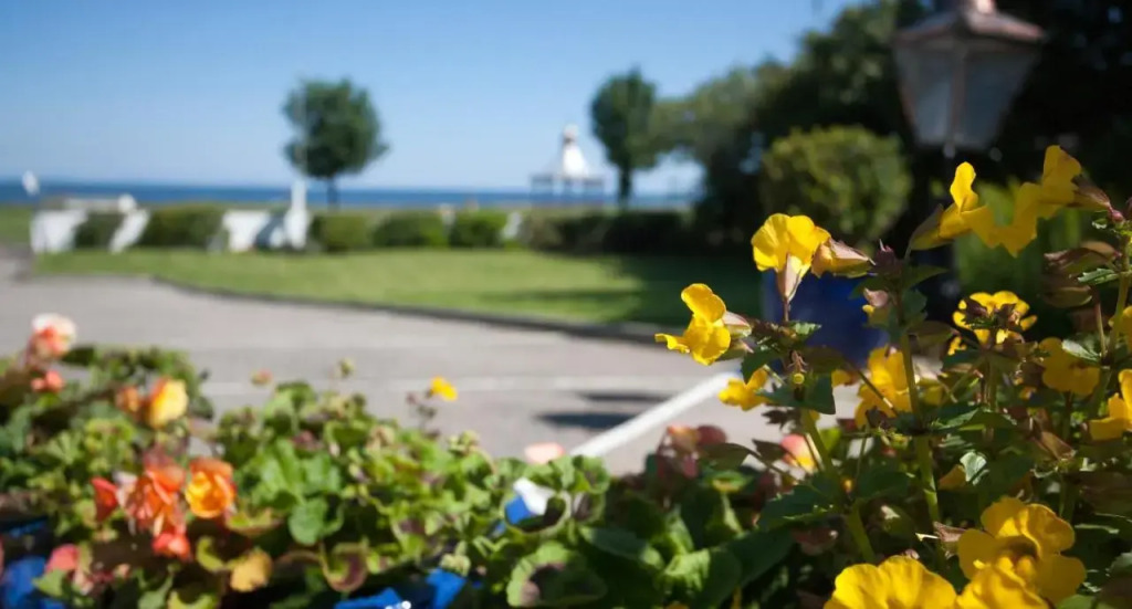 Sunny Brae Bed & Breakfast
