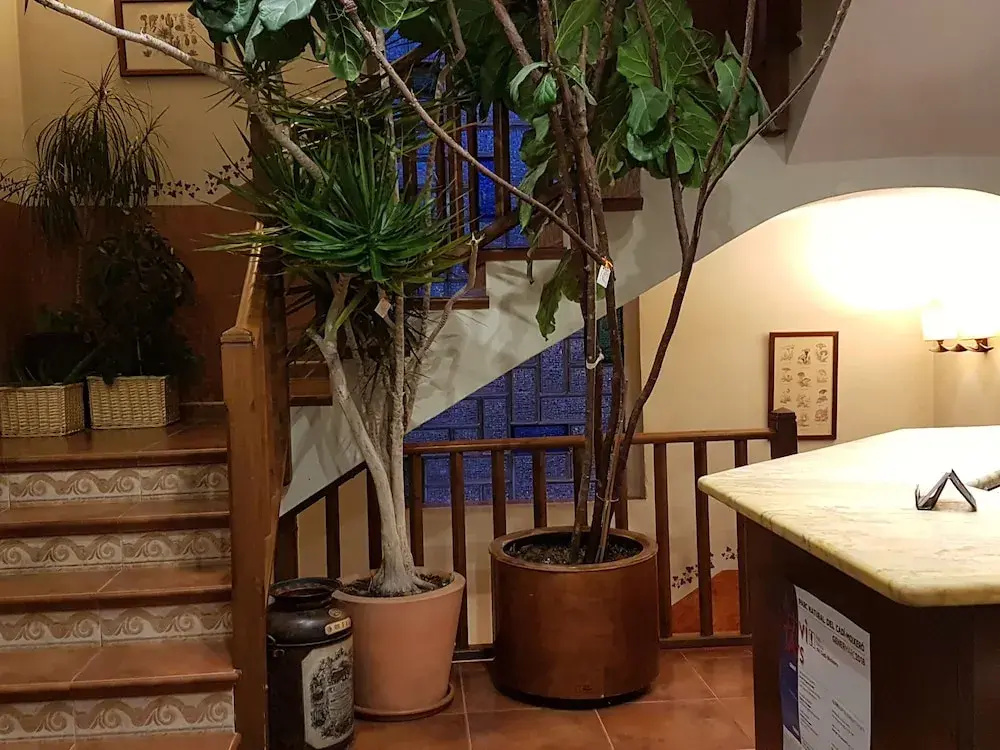 Hostal Cal Batista