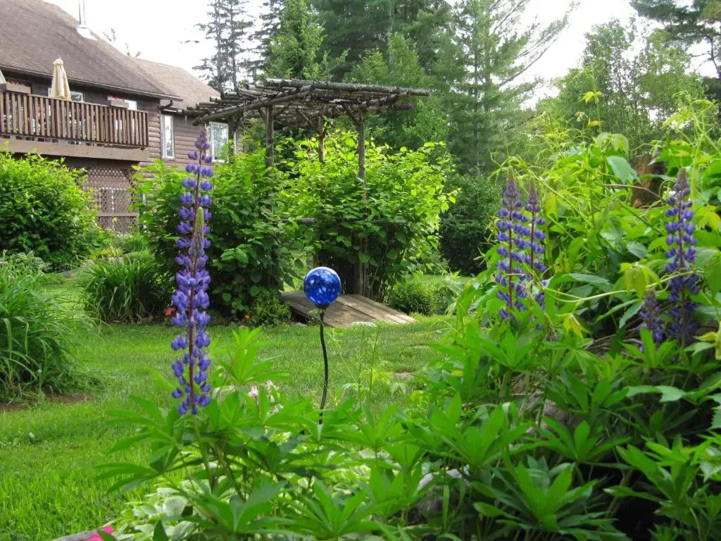 Spring Lake Resort