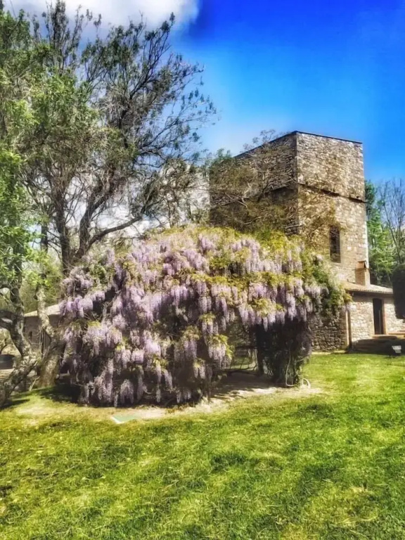 Podere Vitiano