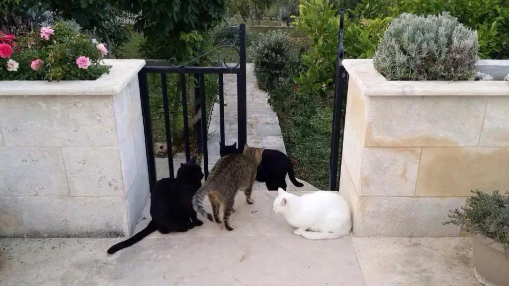 Villa Enea Monopoli