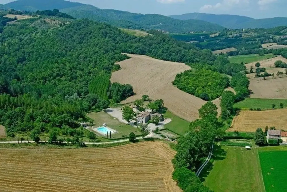 Il Pavone