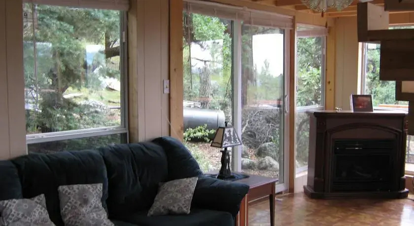 The Evergreen Oasis