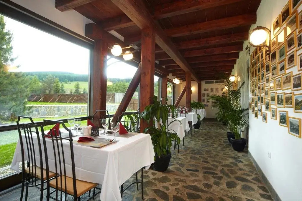 Wellness Hotel Holzberg - krytý relaxační bazén, dětský bazén, whirlpool, sauna, restaurace, bowling, venkovní hřiště, herna, pingpong, billiard