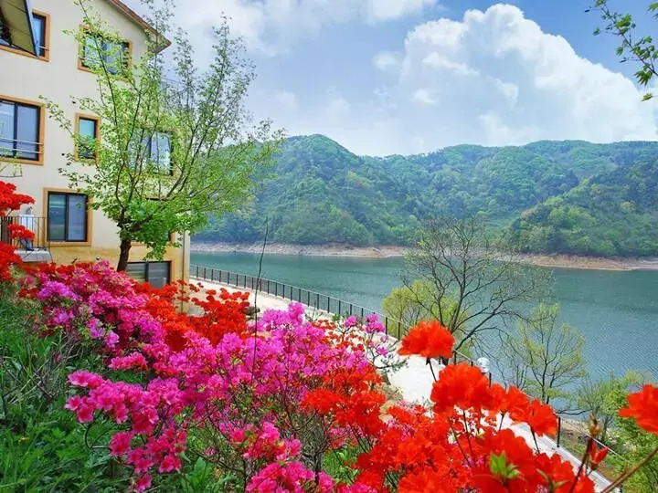 Hwanggeumhosutga pension