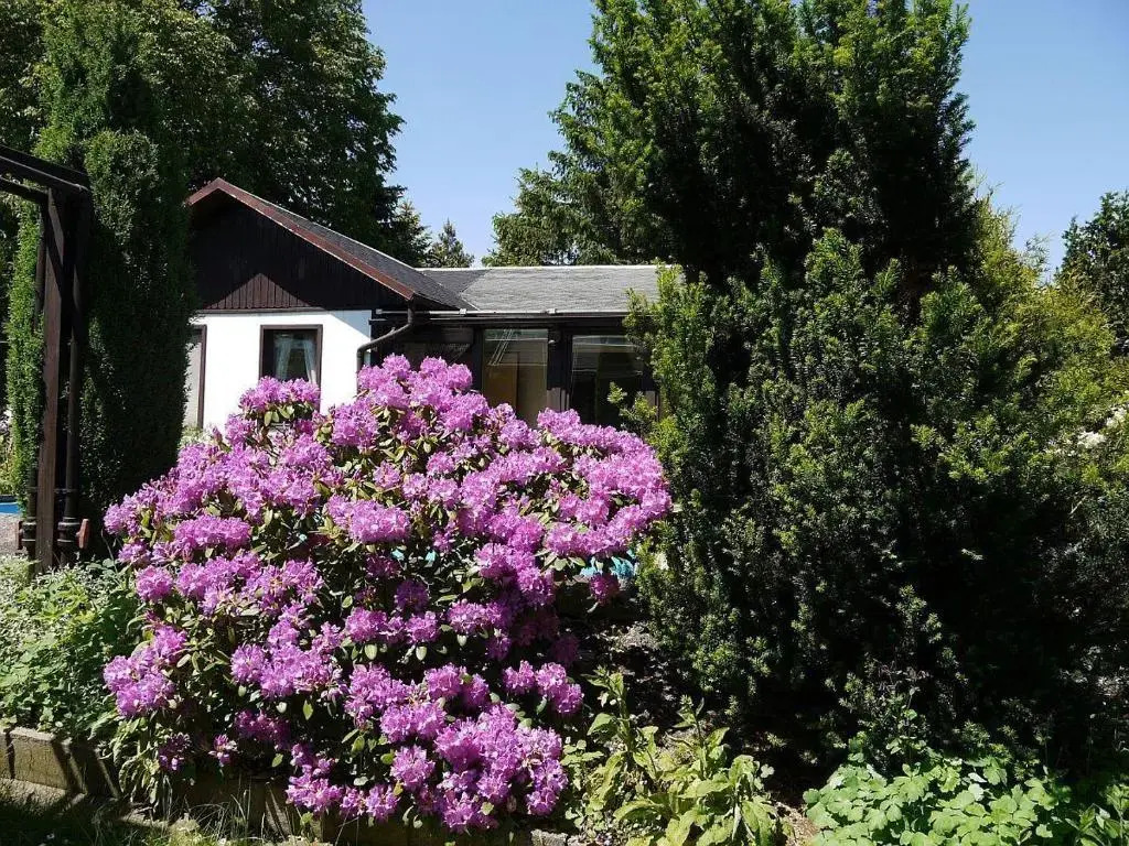 Ferienhaus-Maxen