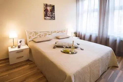 Apartment Za Poricskou branou