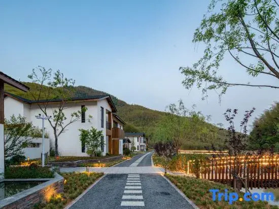 Tingjian·Shanchuan Luxury Wild Stream Trekking Homestay (Anji Cloud Grassland Branch)