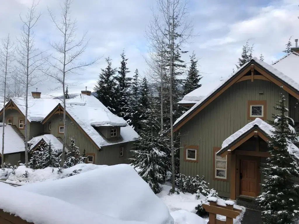 Ski in Ski out Minutes from Village, Private Hot Tub Sleeps 6 Free Shuttle