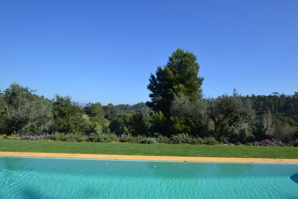 Wine Tourism - Quinta do Ameal