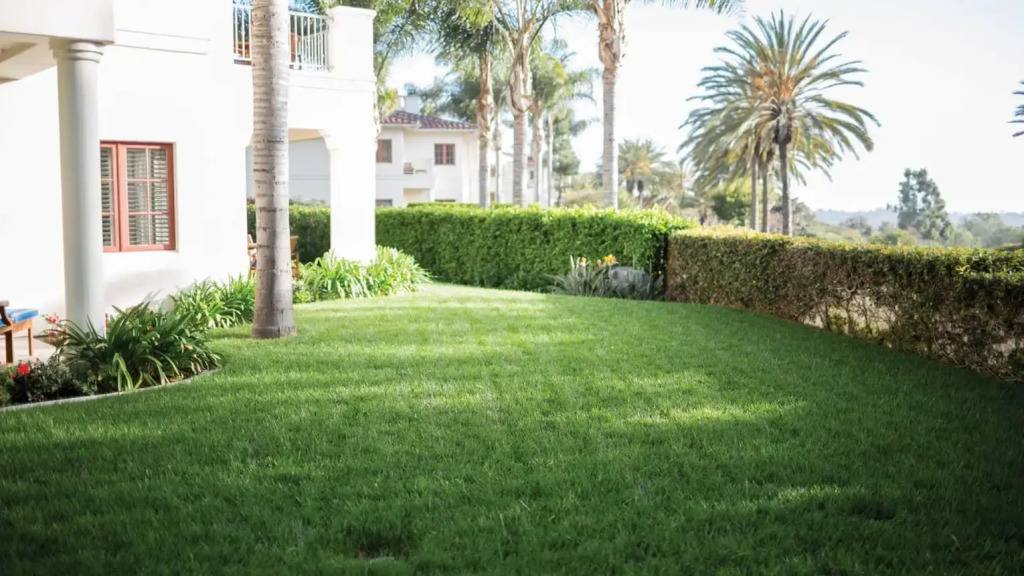 Four Seasons Residence Club Aviara