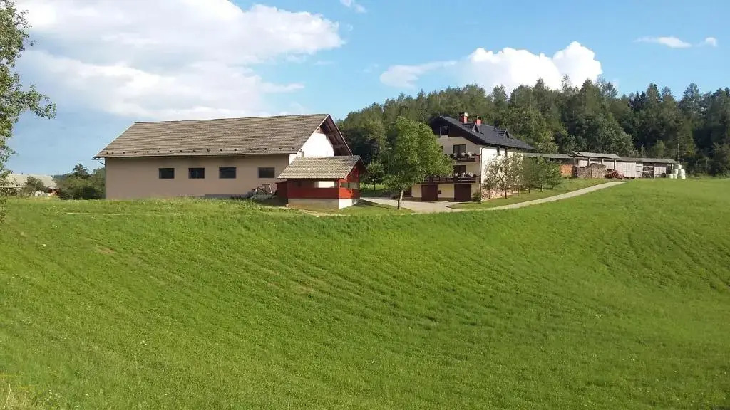 Apartment Vrtacnik