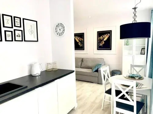Apartamenty Sienkiewicza - 1-28os, bezpłatny parking, centrum, park, fv