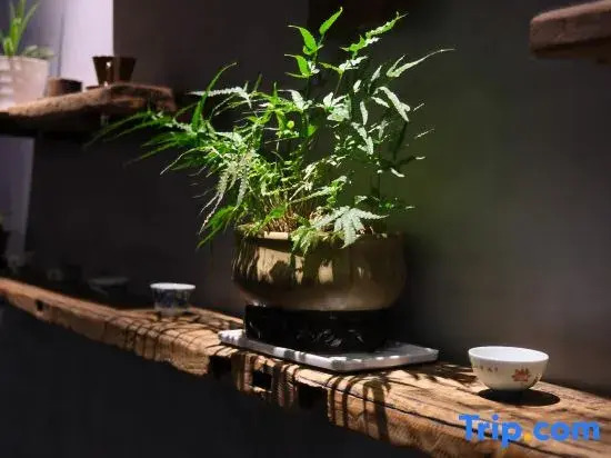 Jingdezhen Seven and a Half Art Inn