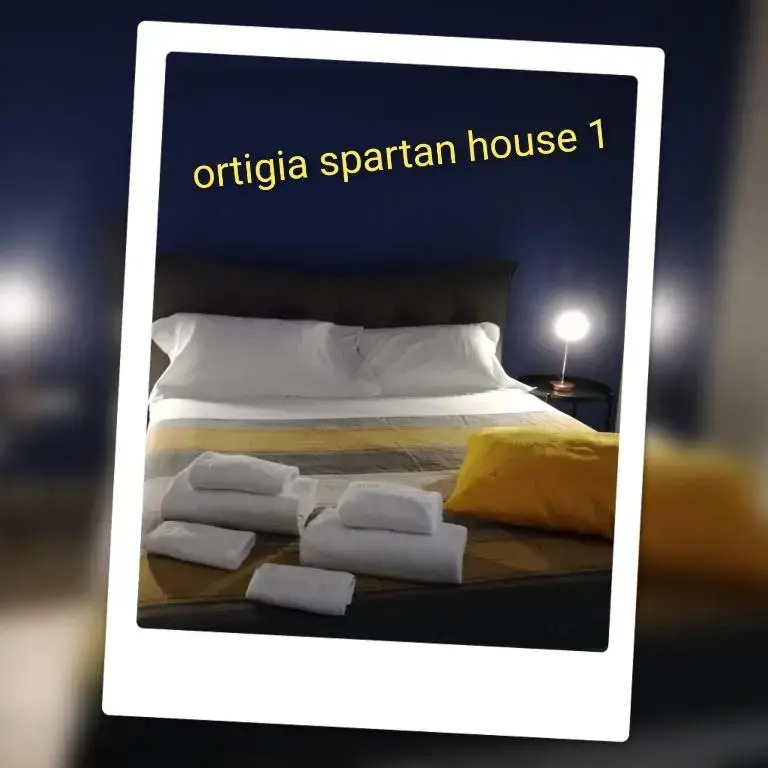 Ortigia Spartan House 1