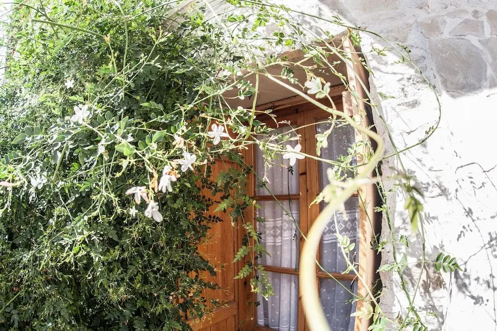 Angelis Traditional Village House