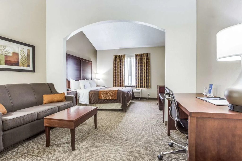 Comfort Inn & Suites Love Field-Dallas Market Center