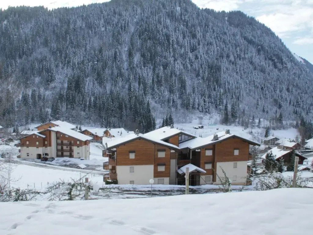 Appartement Châtel, 1 pièce, 4 personnes - FR-1-200-172