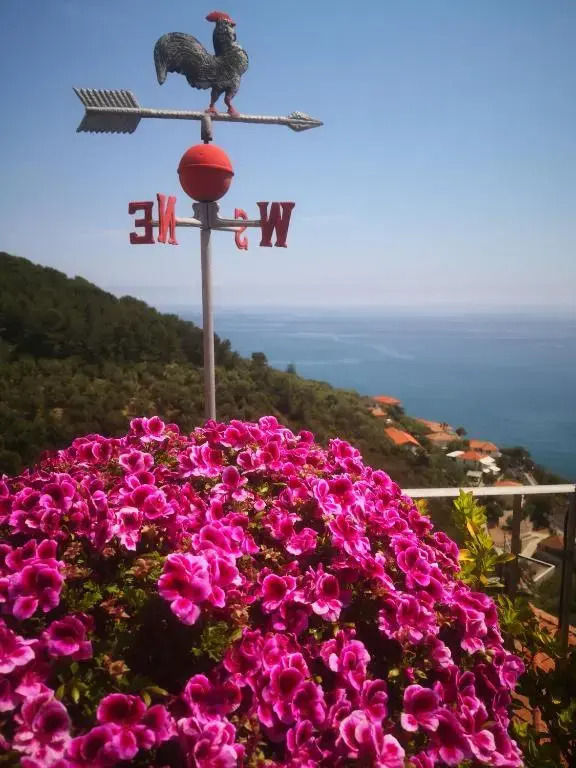 Eco del mare