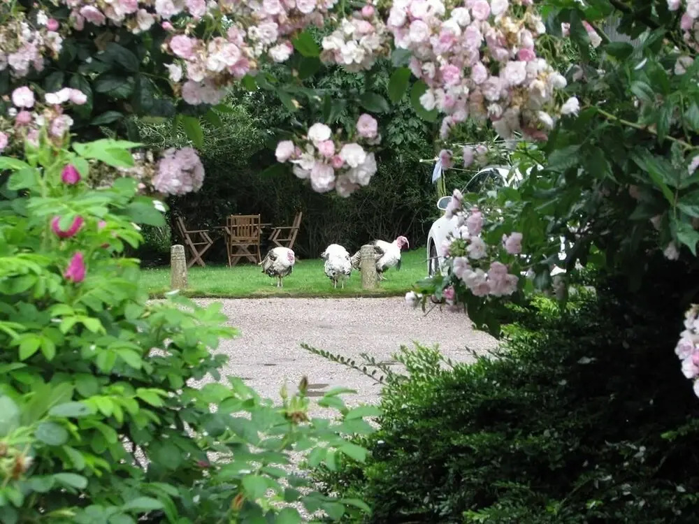 Sandy Brook Farm
