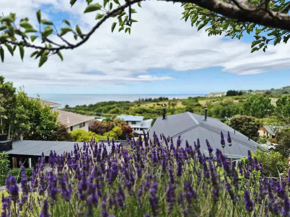 Ocean & Mountain Views 3-bedroom Home