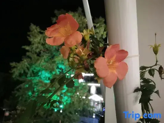 Tianhuangping Qingzhilianshe Homestay