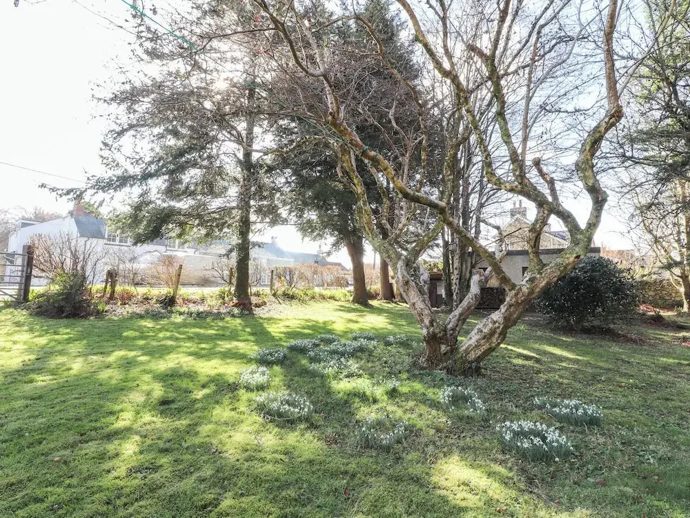 Otter Cottage