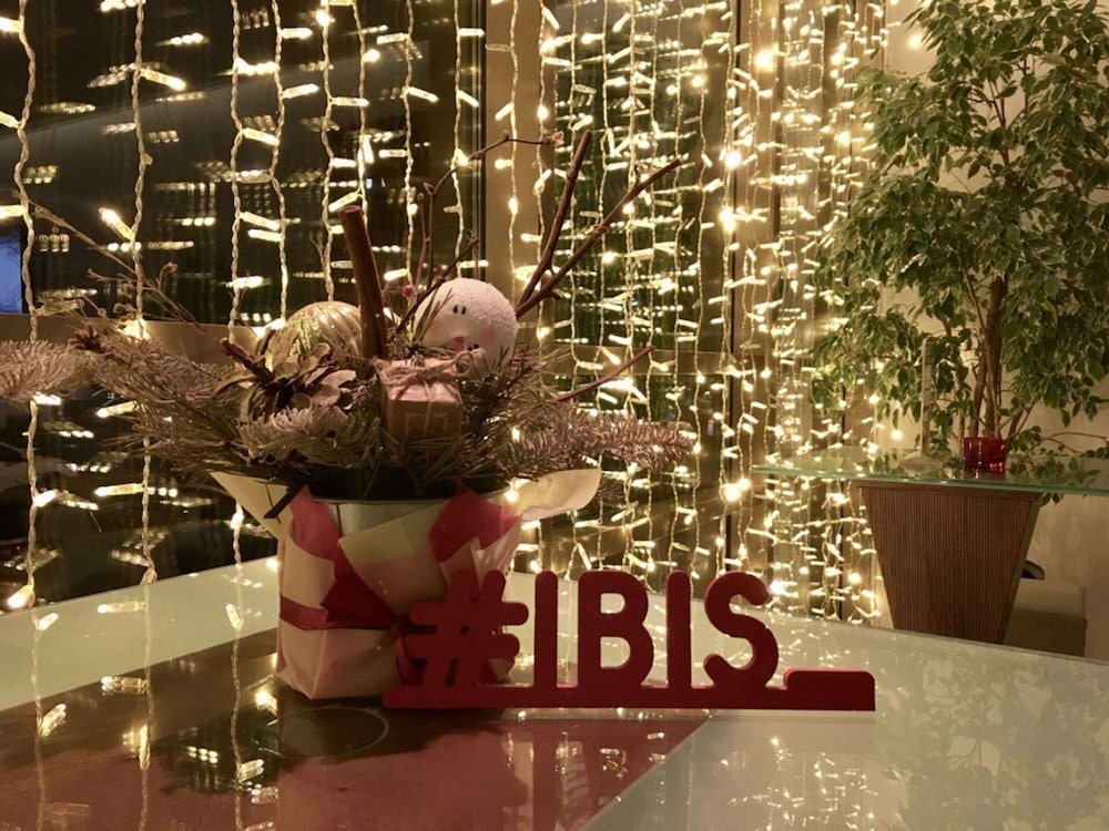 Ibis (Санкт-Петербург)